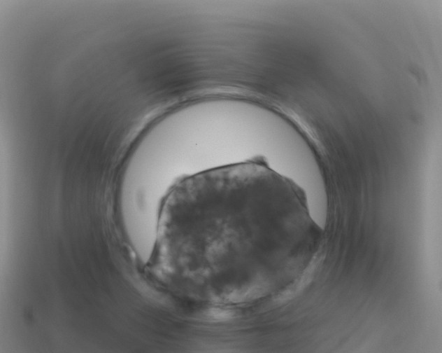 X0000114630159200910201029