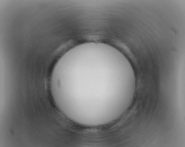 X0000114630161200910201029