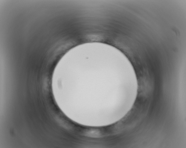 X0000114630162200910201029