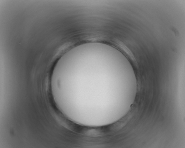 X0000114630163200910201029