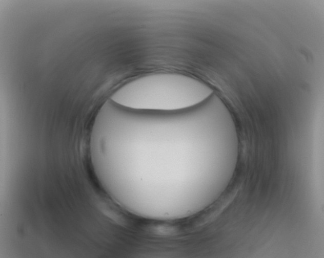 X0000114630165200910201029