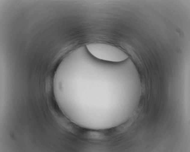 X0000114630167200910201029