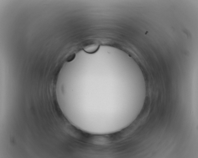 X0000114630169200910201029