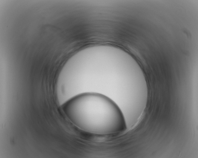 X0000114630170200910201029