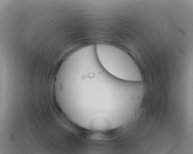 X0000114630171200910201029