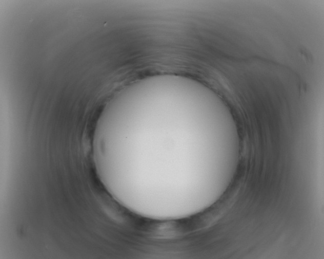 X0000114630173200910201029