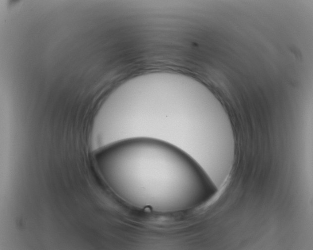 X0000114630174200910201029