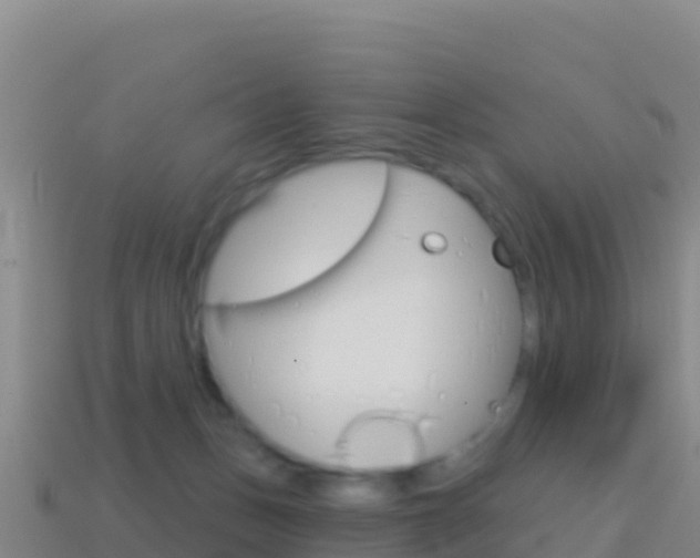 X0000114630175200910201029