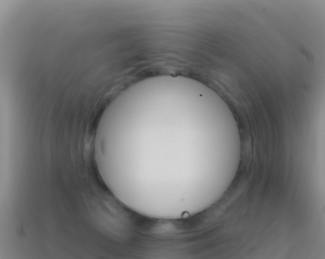 X0000114630177200910201029