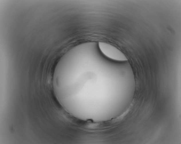 X0000114630178200910201029