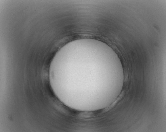 X0000114630179200910201029