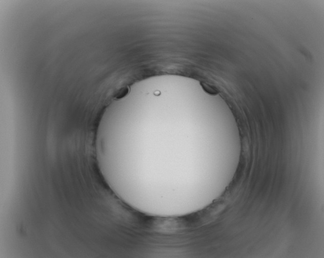 X0000114630181200910201029