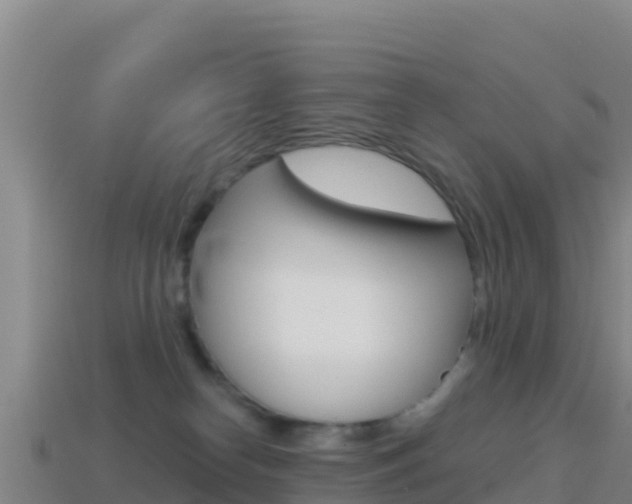 X0000114630182200910201029