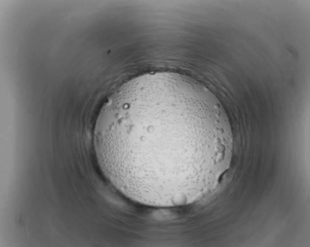 X0000114630183200910201029