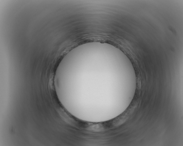 X0000114630185200910201029