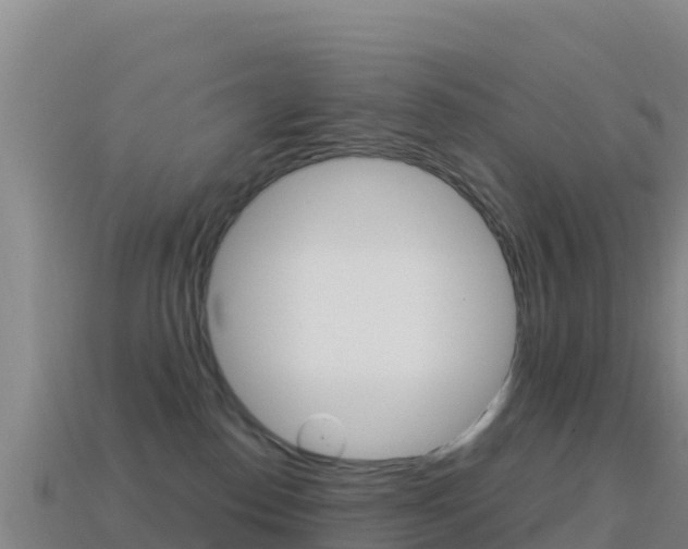 X0000114630186200910201029