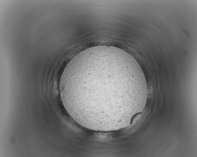 X0000114630187200910201029