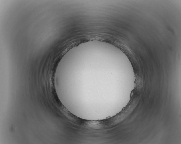 X0000114630189200910201029