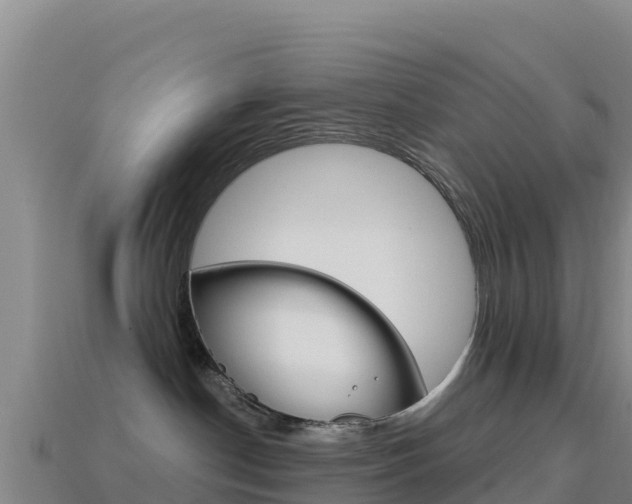 X0000114630190200910201029