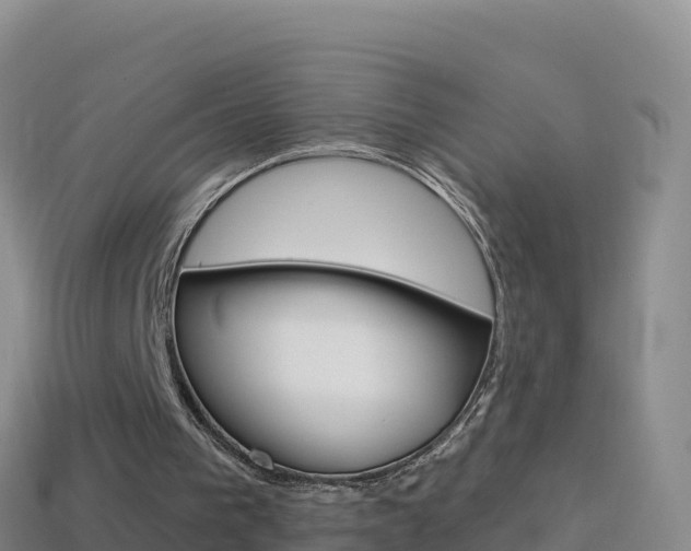 X0000114630193200910201029