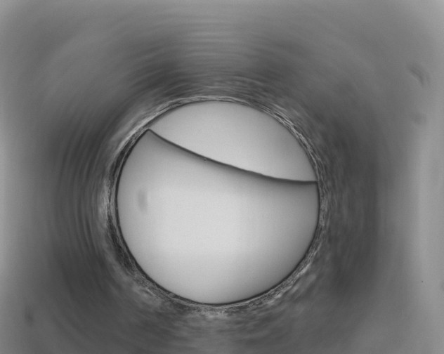 X0000114630194200910201029