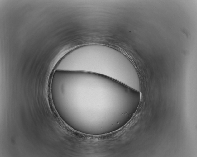 X0000114630195200910201029