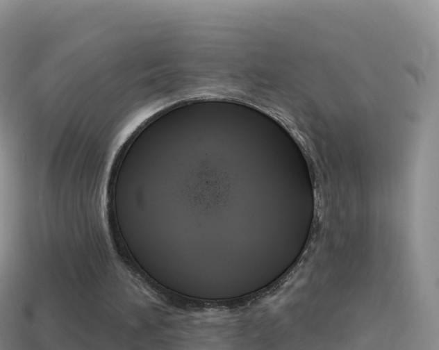 X0000114630196200910201029