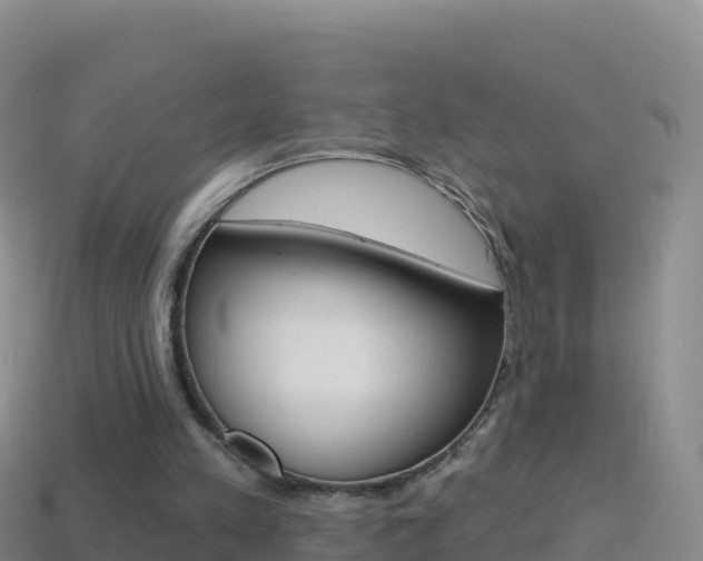 X0000114630197200910201029