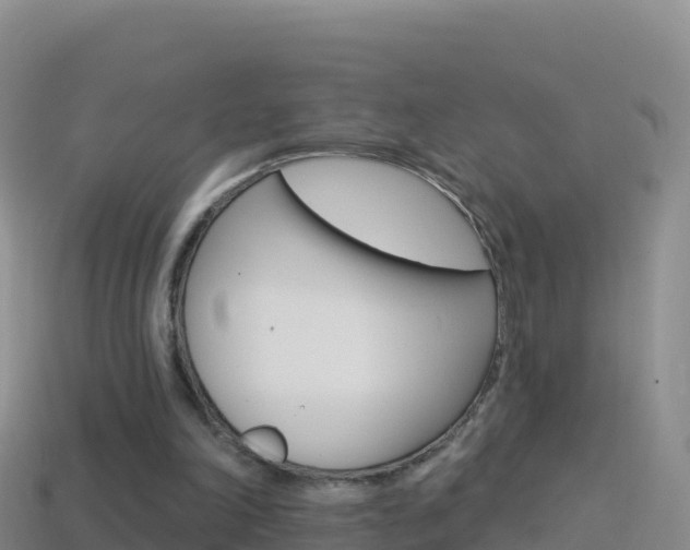 X0000114630198200910201029