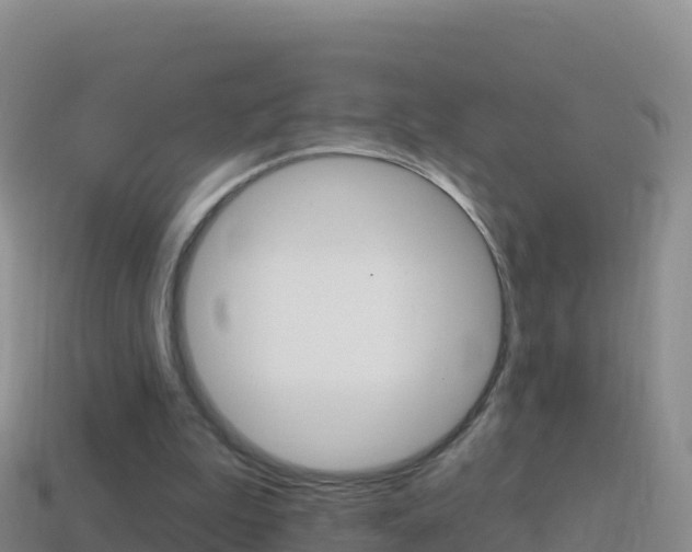 X0000114630199200910201029