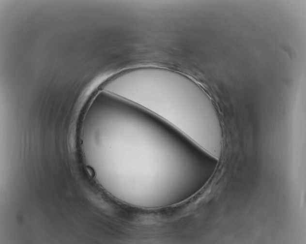 X0000114630200200910201029