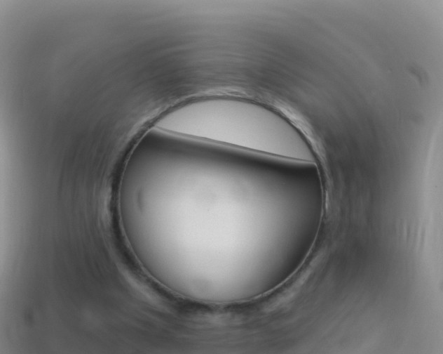 X0000114630201200910201029