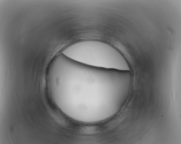 X0000114630202200910201029