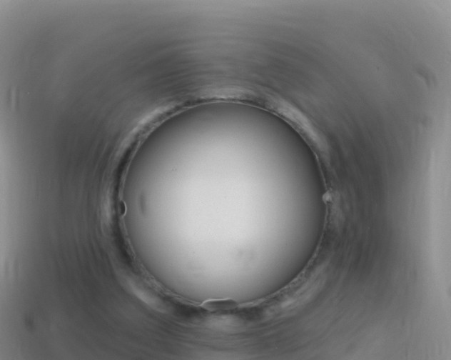 X0000114630203200910201029