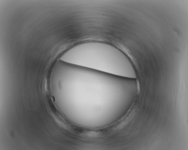 X0000114630205200910201029