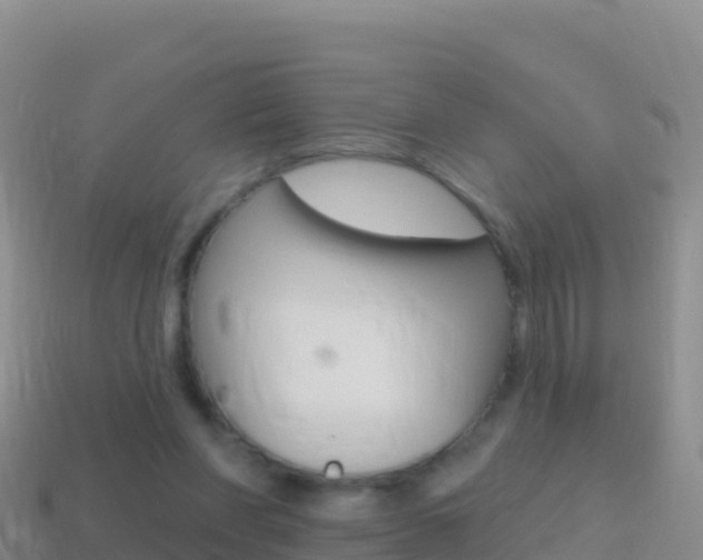 X0000114630206200910201029