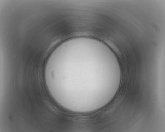 X0000114630207200910201029