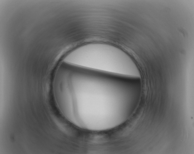 X0000114630208200910201029