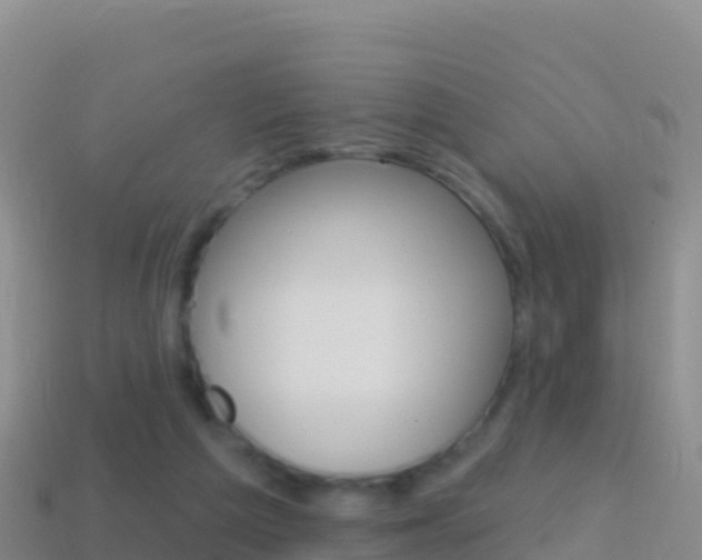 X0000114630209200910201029