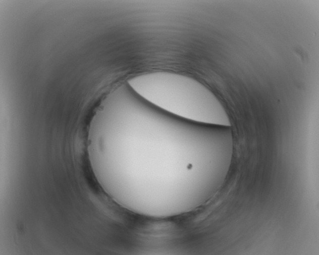 X0000114630210200910201029