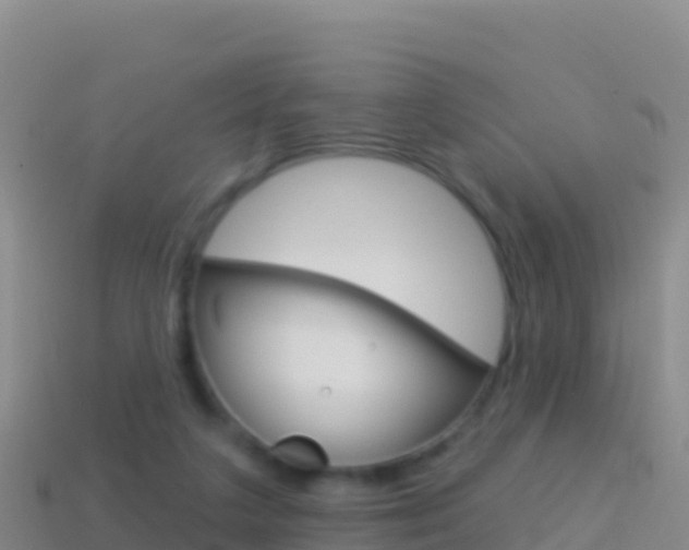 X0000114630211200910201029