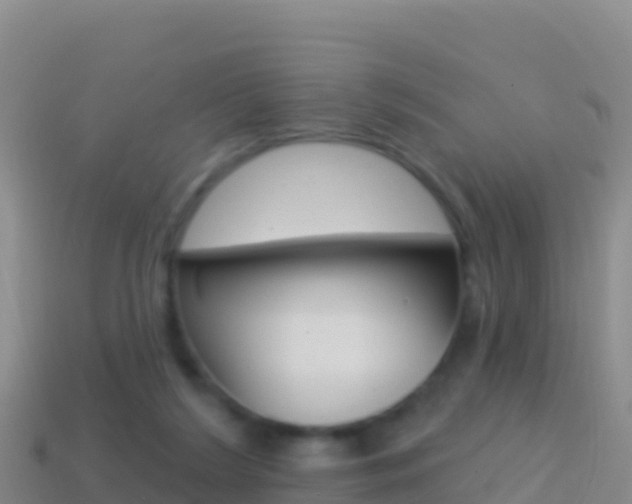 X0000114630212200910201029