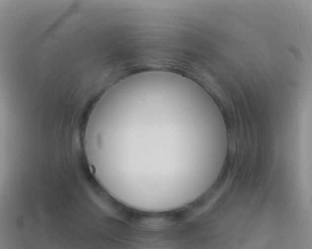 X0000114630213200910201029