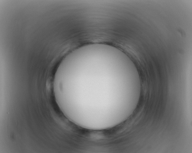 X0000114630214200910201029