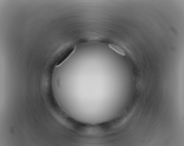 X0000114630215200910201029