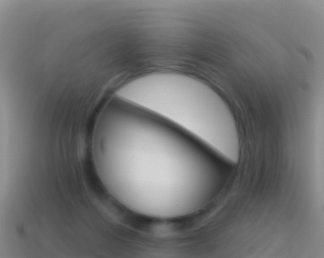 X0000114630216200910201029