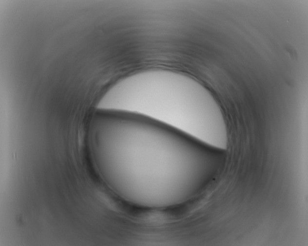 X0000114630219200910201028