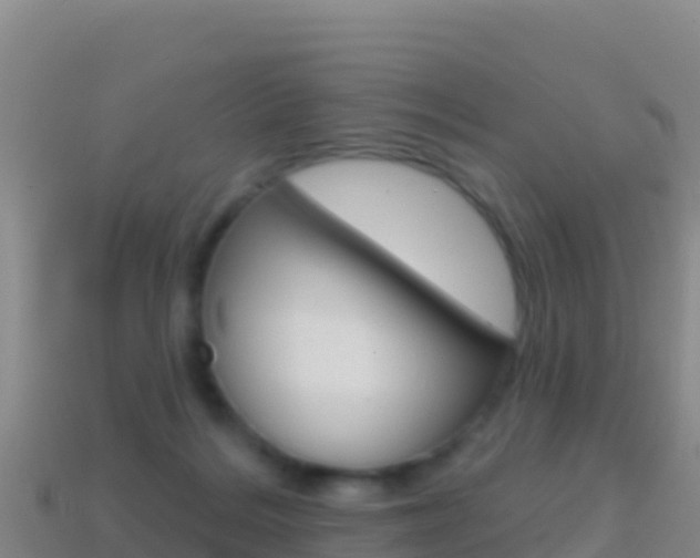 X0000114630220200910201028