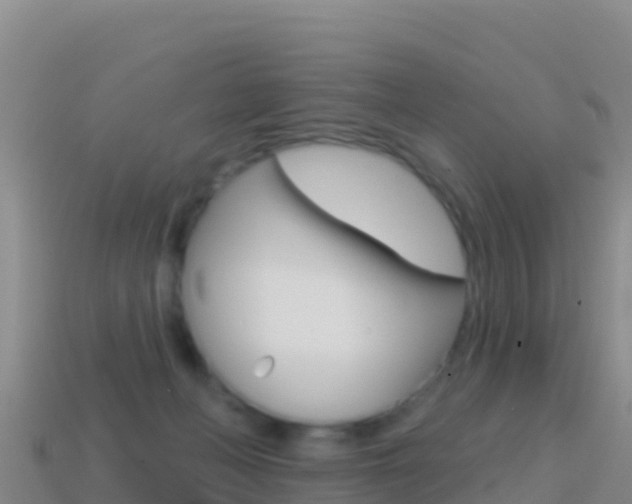 X0000114630222200910201028