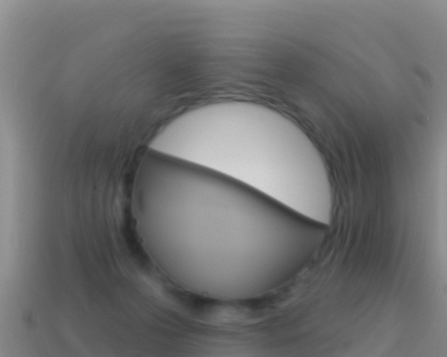 X0000114630223200910201028